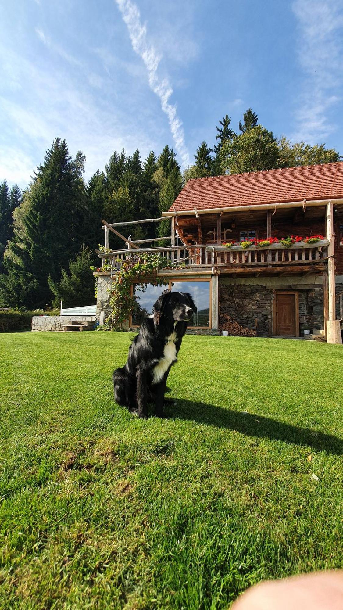 Chalet Toplak Sveti Duh na Ostrem Vrhu